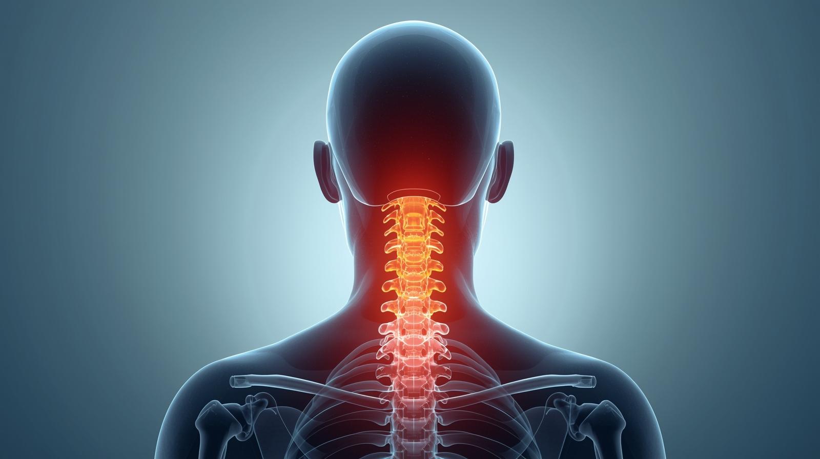 Tech Neck and Heart Attacks: What the Science Actually Says (and How Chiropractic May Fit In)